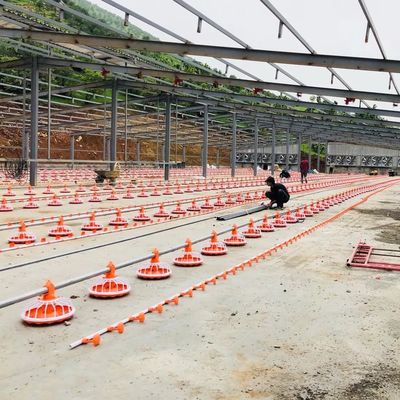 система автоматической подачи 220В 380В для Дя 45мм птицы