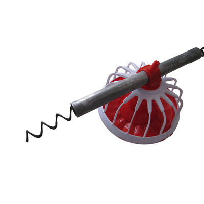 Использование шнека в Южной Африке в автоматической системе кормления