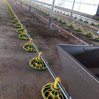 Линия кормления цыплят OEM/ODM Galavnized Stee Broiler Feeding System