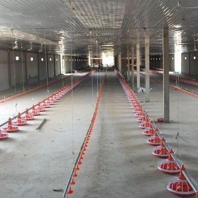 Гальванизированный диаметр 45мм системы лотка машины птицеводства трубы подавая