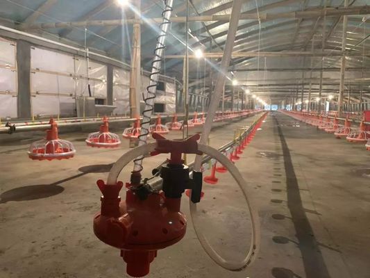 Оборудование 380в 0.75кв кормушки для цыплят 4 Пан/3м с приводным устройством